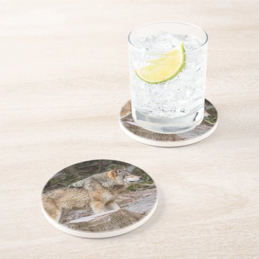 Timber Wolf Zandsteen Onderzetter (Zijkant)