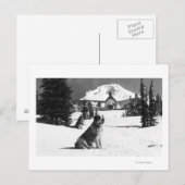 Timberline Lodge en "Lady" de eigenaar Briefkaart (Voorkant / Achterkant)