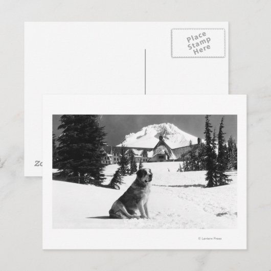 Timberline Lodge en "Lady" de eigenaar Briefkaart (Voorkant / Achterkant)
