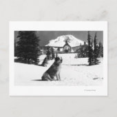 Timberline Lodge en "Lady" de eigenaar Briefkaart (Voorkant)