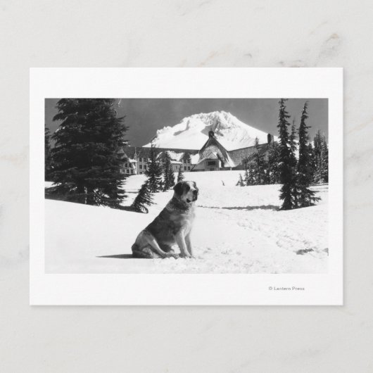 Timberline Lodge en "Lady" de eigenaar Briefkaart (Voorkant)