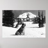 Timberline Lodge en "Lady" de eigenaar Poster (Voorkant)