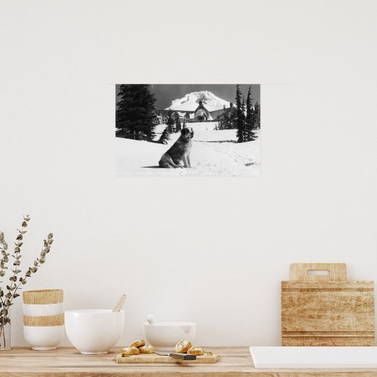 Timberline Lodge en "Lady" de eigenaar Poster (Keuken)