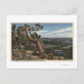 Timberline op de Mammoth Crest Briefkaart (Voorkant)