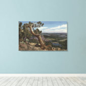 Timberline op de Mammoth Crest Canvas Afdruk (Insitu (Houten vloer))