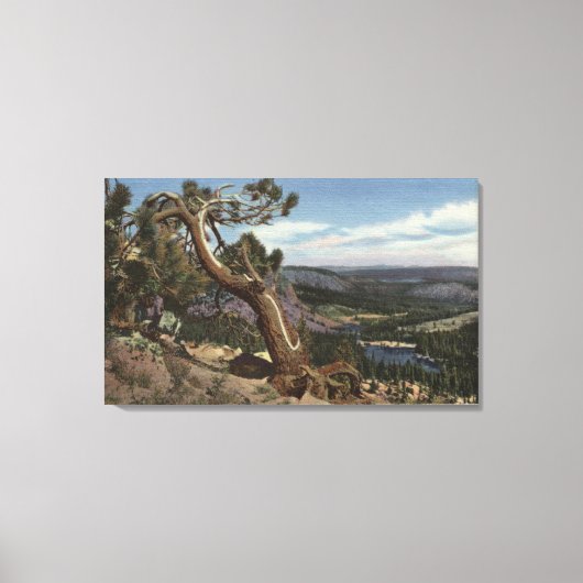 Timberline op de Mammoth Crest Canvas Afdruk (Voorkant)