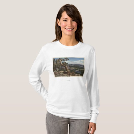Timberline op de Mammoth Crest T-shirt (Voorkant volledig)