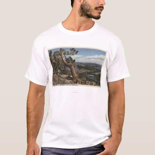 Timberline op de Mammoth Crest T-shirt (Voorkant)