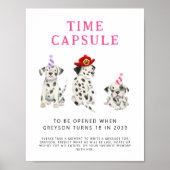 Time Capsule Sign Brandweerman Roze Verjaardagsfee Poster (Voorkant)
