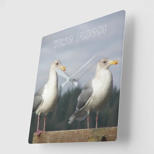 Time Flies Posing Seagulls Foto Vierkante Klok (Hoek)
