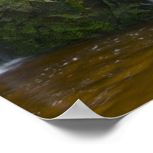 Time Lapse Waterfall Forest Poster (Hoek)