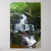 Time Lapse Waterfall Forest Poster (Voorkant)