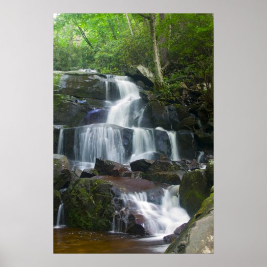Time Lapse Waterfall Forest Poster (Voorkant)