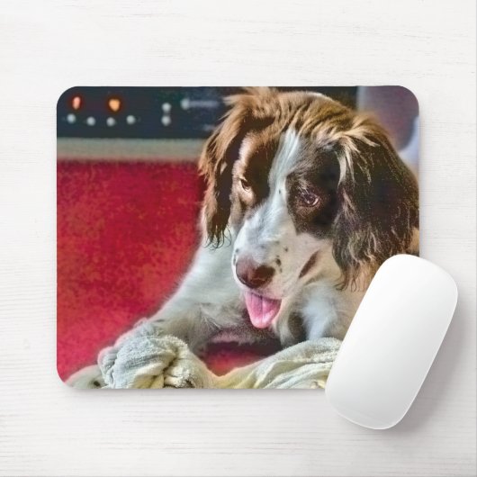 Time-out voor afspelen, Muismat (Met muis)