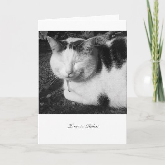 Time to Relax Cat - Blank Retirement Card Kaart (Voorkant)