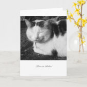 Time to Relax Cat - Blank Retirement Card Kaart (Gele Bloem)