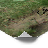 "TIME WORN" by Cr Sinclair Poster (Hoek)