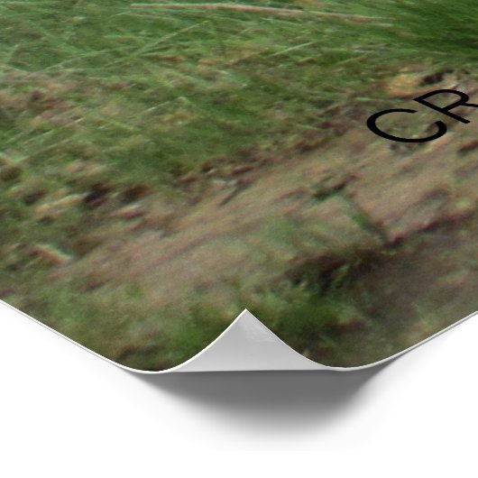 "TIME WORN" by Cr Sinclair Poster (Hoek)