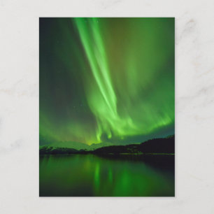 Timeless Aurora Briefkaart