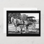 Timeless Journey Briefkaart (Voorkant / Achterkant)