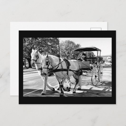 Timeless Journey Briefkaart (Voorkant / Achterkant)