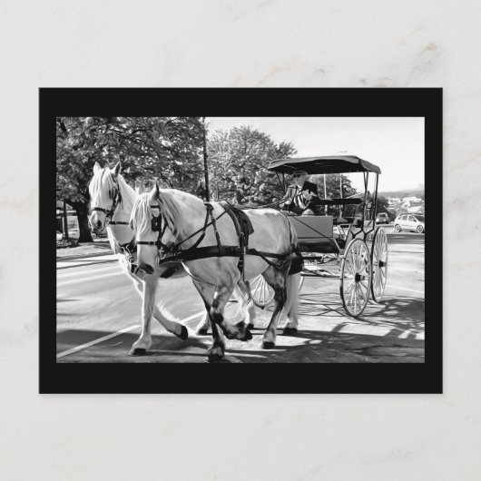 Timeless Journey Briefkaart (Voorkant)