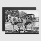 Timeless Journey Magnetic Card (Voorkant / Achterkant)