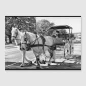 Timeless Journey Magnetic Card (Voorkant)