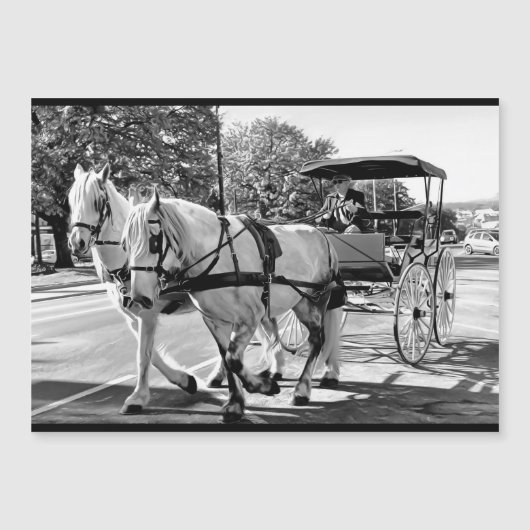 Timeless Journey Magnetic Card (Voorkant)