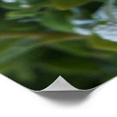 Timeless Journey Poster (Hoek)