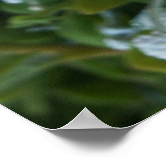 Timeless Journey Poster (Hoek)