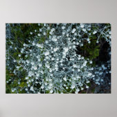 Timeless Journey Poster (Voorkant)