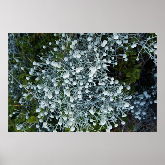 Timeless Journey Poster (Voorkant)