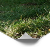 Timeless Journey Poster (Hoek)