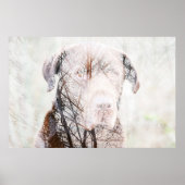 Timeless Journey Poster (Voorkant)