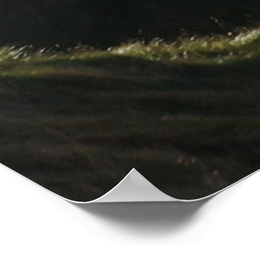 Timeless Journey Poster (Hoek)