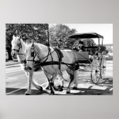 Timeless Journey Poster (Voorkant)