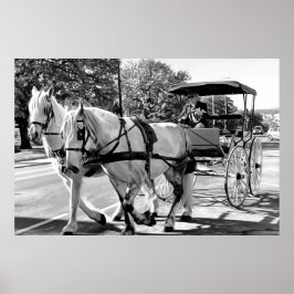 Timeless Journey Poster