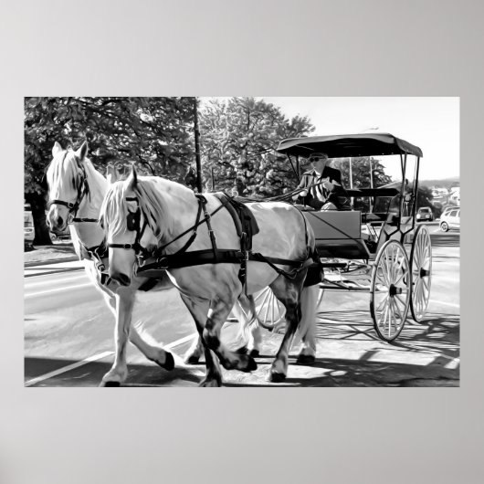 Timeless Journey Poster (Voorkant)