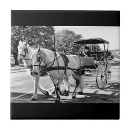 Timeless Journey Tegeltje