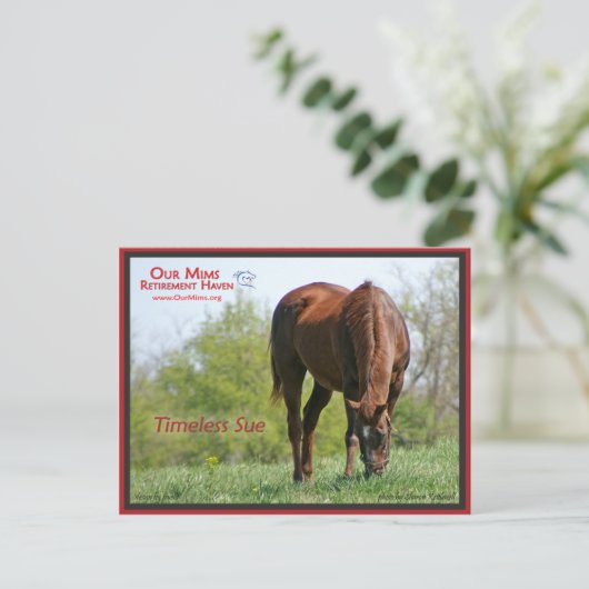 Timeless Sue Briefkaart (Staand voorkant)