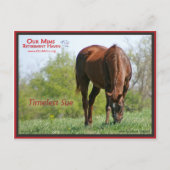 Timeless Sue Briefkaart (Voorkant)