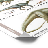Timeline of the dinosaurs Jurassic Biology Poster (Hoek)