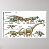 Timeline of the dinosaurs Jurassic Biology Poster (Voorkant)