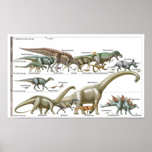 Timeline of the dinosaurs Jurassic Biology Poster (Voorkant)