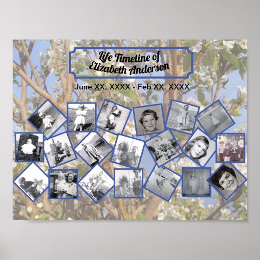 Timeline Photo Collage on White Blossom Tree Poster (Voorkant)