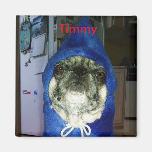 Timmy Hoodie Magnet (Voorkant)