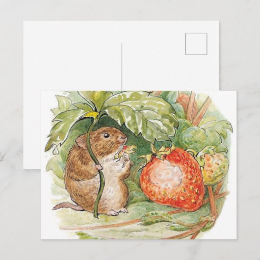 Timmy Willie Mouse - Beatrix Potter Briefkaart (Voorkant / Achterkant)