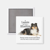 Timmy's Tri-Color Sheltie Magnet (Voorkant / Achterkant)