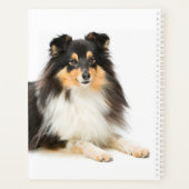 Timmy's Tri-Color Sheltie Planner (Achterkant)
